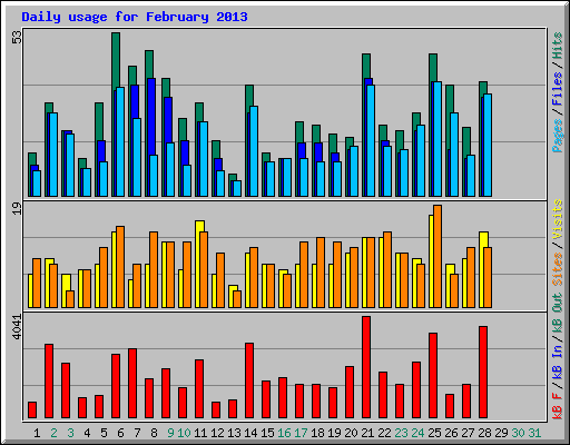 Daily usage for February 2013