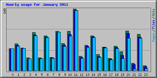 Hourly usage for January 2011