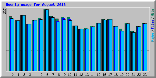 Hourly usage for August 2013